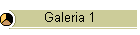 Galeria 1