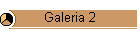 Galeria 2