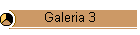 Galeria 3