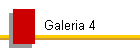 Galeria 4