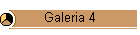 Galeria 4