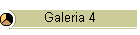 Galeria 4