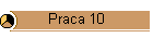 Praca 10