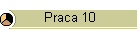 Praca 10