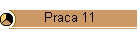 Praca 11