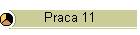 Praca 11