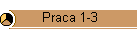 Praca 1-3