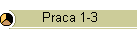 Praca 1-3