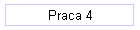 Praca 4