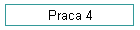 Praca 4