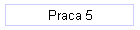 Praca 5