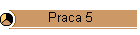 Praca 5