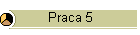 Praca 5