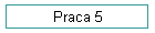 Praca 5