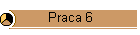 Praca 6