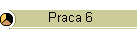 Praca 6