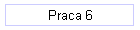 Praca 6