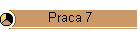 Praca 7