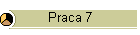 Praca 7