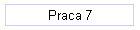 Praca 7