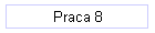 Praca 8