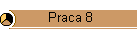 Praca 8