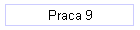 Praca 9