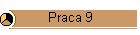 Praca 9