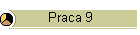 Praca 9