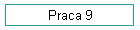 Praca 9